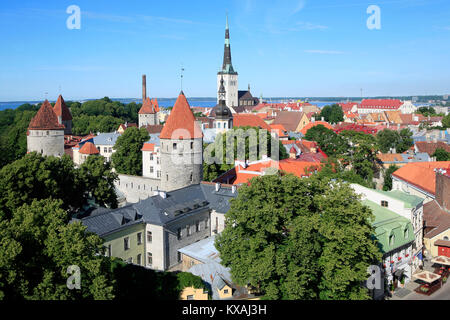 Panoramablick über die mittelalterliche Stadtmauer von Tallinn, Estland Stockfoto