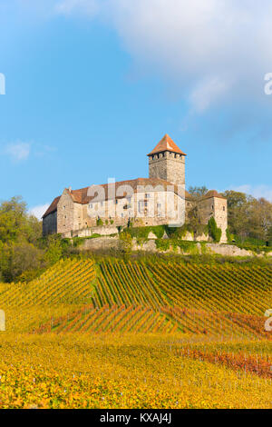 Schloss Lichtenberg, Weinberge, Herbst Landschaft, Oberstenfeld, Baden-Württemberg, Deutschland Stockfoto