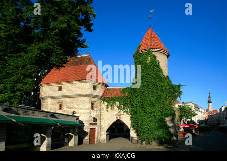 Das 14. Jahrhundert Viru Tor am Eingang der Altstadt von Tallinn, Estland Stockfoto