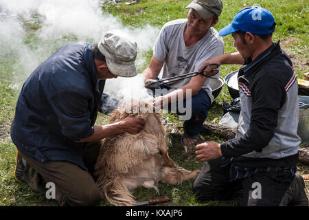 Khorkhog ist ein Grill Teller in die Mongolische Küche, durch Kochen Stücke Fleisch in einem Sack von Tierhaut, wie hier zu sehen oder ein Metallbehälter mit h Stockfoto