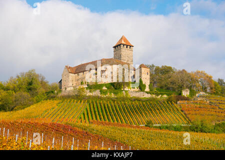 Schloss Lichtenberg, Weinberge, Herbst Landschaft, Oberstenfeld, Baden-Württemberg, Deutschland Stockfoto