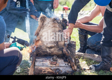 Khorkhog ist ein Grill Teller in die Mongolische Küche, durch Kochen Stücke Fleisch in einem Sack von Tierhaut, wie hier zu sehen oder ein Metallbehälter mit h Stockfoto