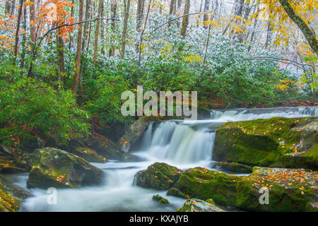 Wasserfälle, Aumnn Holz mit hellen Schnee, Great Smoky Mountains NP, Lynn Camp Prong, TN USA, von Bill Lea/Dembinsky Foto Assoc Stockfoto