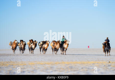 Sunite rechts Banner, China Autonome Region Innere Mongolei. 9 Jan, 2018. Ein Hirt führt Kamele auf der verschneiten Prärie in Sunite Sunite rechts Banner, North China Autonome Region Innere Mongolei, Jan. 9, 2018. Ein Kamel Messe eine lokale traditionelle Festival einschließlich Kamelrennen und Kamel beauty contest, war im Banner am Dienstag statt. Mehr als 200 Kamele nahmen an der Messe. Credit: Lian Zhen/Xinhua/Alamy leben Nachrichten Stockfoto