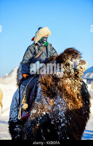 Sunite rechts Banner, China Autonome Region Innere Mongolei. 9 Jan, 2018. Ein Hirt ein Kamel reitet das Kamel Messe in Sunite rechts Banner, North China Autonome Region Innere Mongolei, Jan. 9, 2018 zu besuchen. Ein Kamel Messe eine lokale traditionelle Festival einschließlich Kamelrennen und Kamel beauty contest, war im Banner am Dienstag statt. Mehr als 200 Kamele nahmen an der Messe. Credit: Lian Zhen/Xinhua/Alamy leben Nachrichten Stockfoto