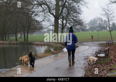 Northampton, Großbritannien Abington Park, 9. Januar 2018. Ein dumpfes feuchten Nachmittag für Leute, die ihre Hunde Credit: Keith J Smith./Alamy leben Nachrichten Stockfoto