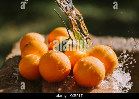 Gesunde nass orange Früchte Hintergrund. Zitrusfrüchte Stockfoto