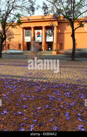 Die Hauptfassade des 'Museo Nacional de Bellas Artes' im Frühling mit Jacaranda-Bäumen. Recoleta, Buenos Aires, Argentinien. Stockfoto