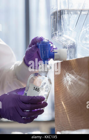 Laborchemiker sammeln Reagenz Stockfoto