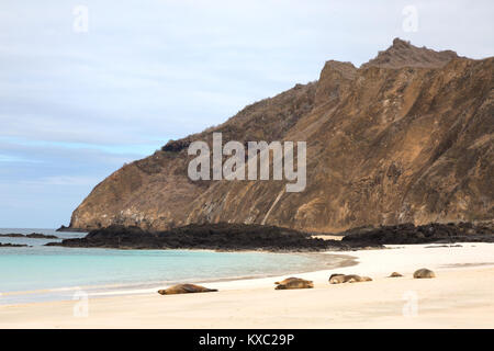 Galapagos Landschaft - Witch Hill Beach, Insel San Cristobal Galapagos Inseln Ecuador Südamerika Stockfoto