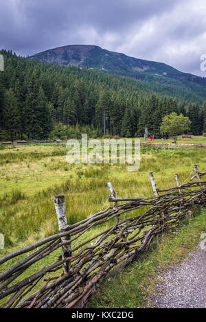 Von Obri Dul studnicni Berg Tal, weg von Pec pod Snezkou zur Schneekoppe im Riesengebirge Gebirge Sudeten gesehen, Tschechische Republik Stockfoto