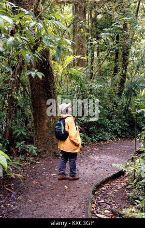 Asiatische Frau wandern in Gelb wasserdichte Jacke im Monteverde Cloud Forest Reserve Stockfoto