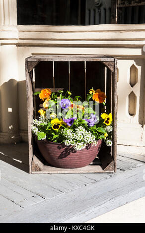 Frühling Stiefmütterchen in einem Topf in einer Holzkiste, Lancaster County, Pennsylvania, USA, PA, Terrassentöpfe, Container FS 8,42MB 300ppi Stockfoto