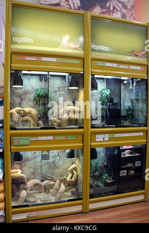 England, Kent, Orpington - ca. Juli 2014: Reptile Display Tanks in einer Tierhandlung Supermarkt in England. Stockfoto