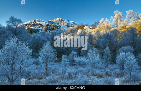 Winterlandschaft mit aufgehenden Mond, Raureif und Schnee über Ben Venue, die Trossachs, Schottland, Großbritannien. Stockfoto