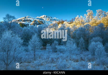 Winterlandschaft mit aufgehenden Mond, Raureif und Schnee über Ben Venue, die Trossachs, Schottland, Großbritannien. Stockfoto