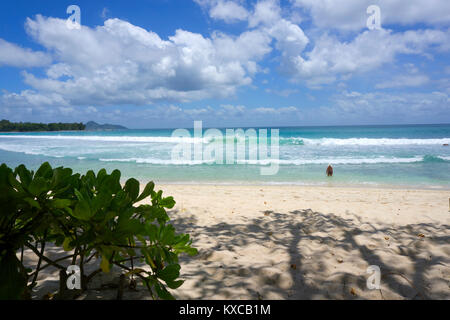 Grand Anse Barbarons Mahé Seychellen Stockfoto