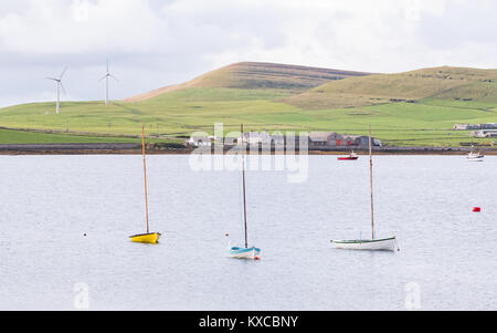 Segelboote im Hafen, Pierowall Pierowall, Westray, Orkney Inseln, Schottland, Großbritannien Stockfoto