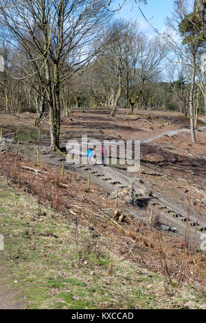 Wanderer in der Devils Punchbowl Hindhead Gemeinsame, Surrey, Großbritannien Stockfoto