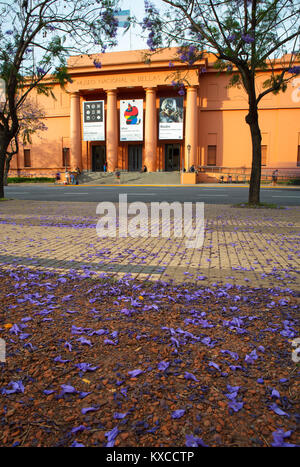 Die Hauptfassade des 'Museo Nacional de Bellas Artes' im Frühling mit Jacaranda-Bäumen. Recoleta, Buenos Aires, Argentinien. Stockfoto