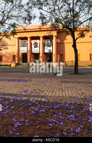 Die Hauptfassade des 'Museo Nacional de Bellas Artes' im Frühling mit Jacaranda-Bäumen. Recoleta, Buenos Aires, Argentinien. Stockfoto