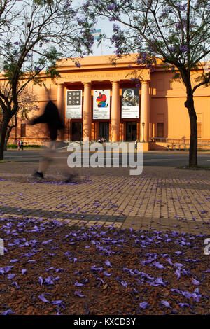 Die Hauptfassade des 'Museo Nacional de Bellas Artes' im Frühling mit Jacaranda-Bäumen. Recoleta, Buenos Aires, Argentinien. Stockfoto