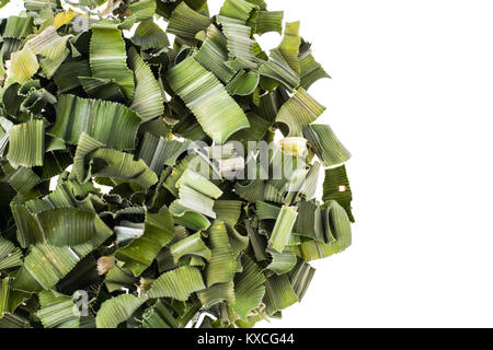 Trocken grüne Blätter pandanus für Kaffee Stockfoto