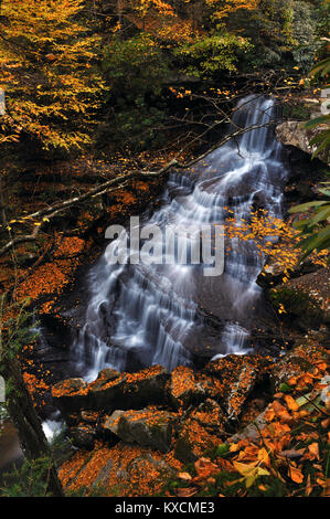 Laurel Creek Falls in der malerischen Gauley River National Recreation Area, West Virginia Stockfoto