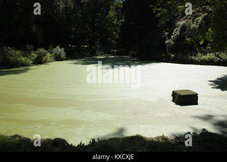 Ein digitaler Eintrag oder Dateititel, der sich auf die Webentwicklung bezieht und möglicherweise auf Code, Datenverwaltung oder eine Online-Ressource verweist. Stockfoto