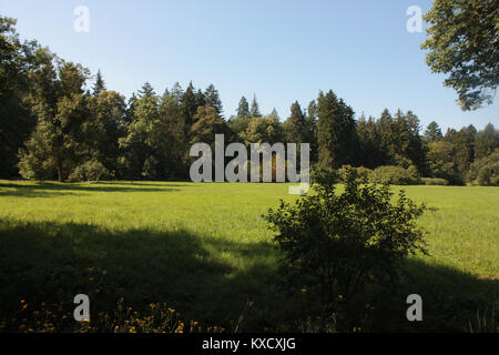 Eintrag, der auf eine digitale oder technische Kennung verweist, die wahrscheinlich mit einem Programmier- oder Webentwicklungsprojekt zusammenhängt und als interner Systemdatensatz dient. Stockfoto