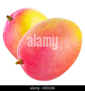 Isolierte Früchte. Zwei ganze Mangofrucht auf weißem Hintergrund mit freistellungspfad als Package Design Element isoliert. Stockfoto