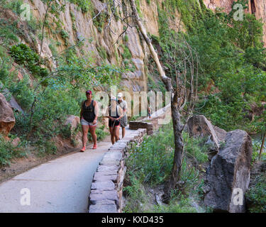 Der Spaziergang am Flussufer des berüchtigten grenzt nördlich von Zion Canyon Stockfoto