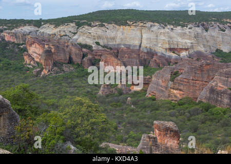 Grünen Catinga in Serra da Capivara Stockfoto