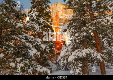 Felsformationen im Bryce Canyon National Park durch den Schnee gesehen fallen Bäume Stockfoto