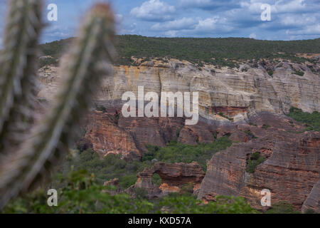 Grünen Catinga in Serra da Capivara Stockfoto