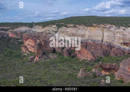 Grünen Catinga in Serra da Capivara Stockfoto