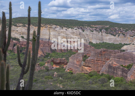 Grünen Catinga in Serra da Capivara Stockfoto