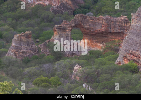 Grünen Catinga in Serra da Capivara Stockfoto