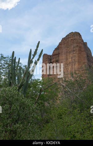 Grünen Catinga in Serra da Capivara Stockfoto