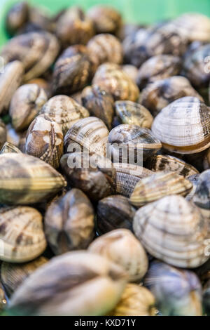 Hintergrund der frischen weichen Klammern für den Verkauf am lokalen Markt Stockfoto