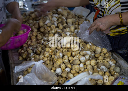 Käufer wählen Sie paddy Stroh Pilz im Markt Stockfoto