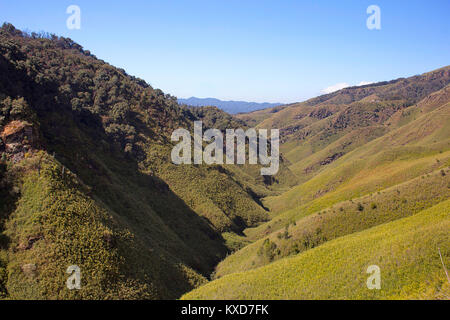 Dzukou Tal, an der Grenze zwischen den Bundesstaaten Nagaland und Manipur, Nagaland, Indien Stockfoto