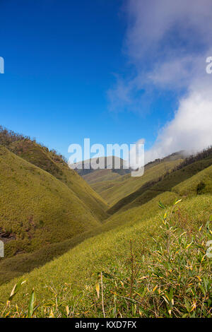 Dzukou Tal, an der Grenze zwischen den Bundesstaaten Nagaland und Manipur, Nagaland, Indien Stockfoto