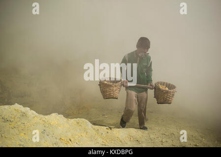 Miner Extrahieren von Schwefel Felsen von Kawah Ijen Krater in Ostjava, Indonesien Stockfoto