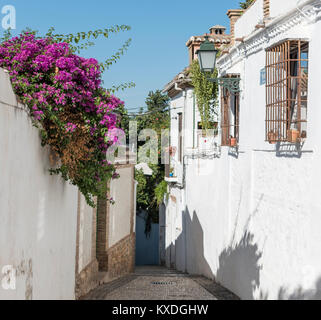 Bougainvillea überhängenden weißen Wänden im Stadtteil Albaicin Granada, Spanien. Stockfoto