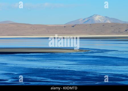 Lagune auf dem Altiplano, Reserva Nacional de Fauna Andina Eduardo Abaroa, Sur Lípez, Potosi, Bolivien Stockfoto