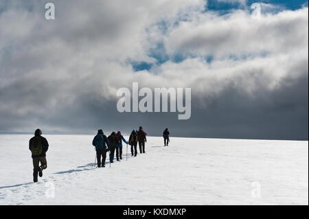 Wandern Gruppe geht auf Gletscher Foxfonna, in der Nähe von Longyearbyen, Spitzbergen, Svalbard, Norwegen Stockfoto