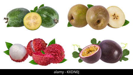 Sammlung von exotischen Früchten auf weißem Hintergrund Stockfoto