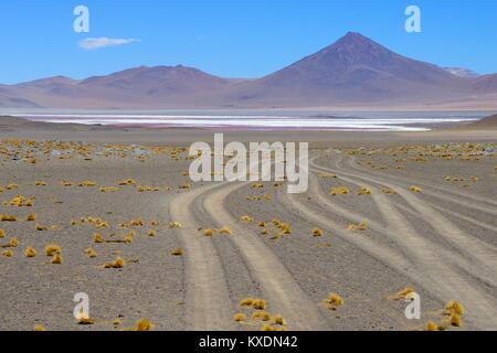 Fahrzeug tracks zu Laguna Colorada, Reserva Nacional de Fauna Andina Eduardo Abaroa, Altiplano, Sur Lípez, Bolivien Stockfoto