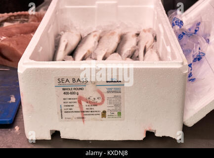 Türkische Seebarsch in einem Styropor Box zum Verkauf an einer lokalen Fischhändler, Glasgow, Schottland verpackt bewirtschaftet. Stockfoto